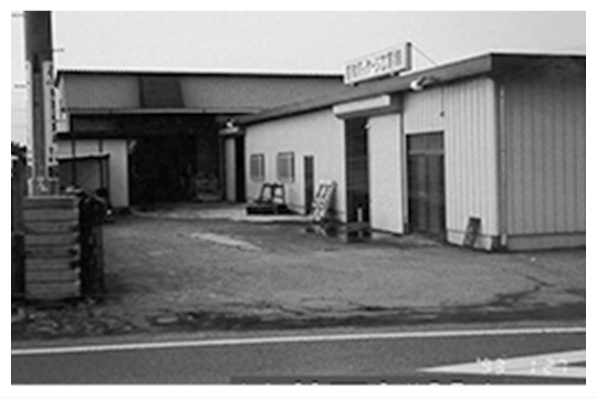 1966年